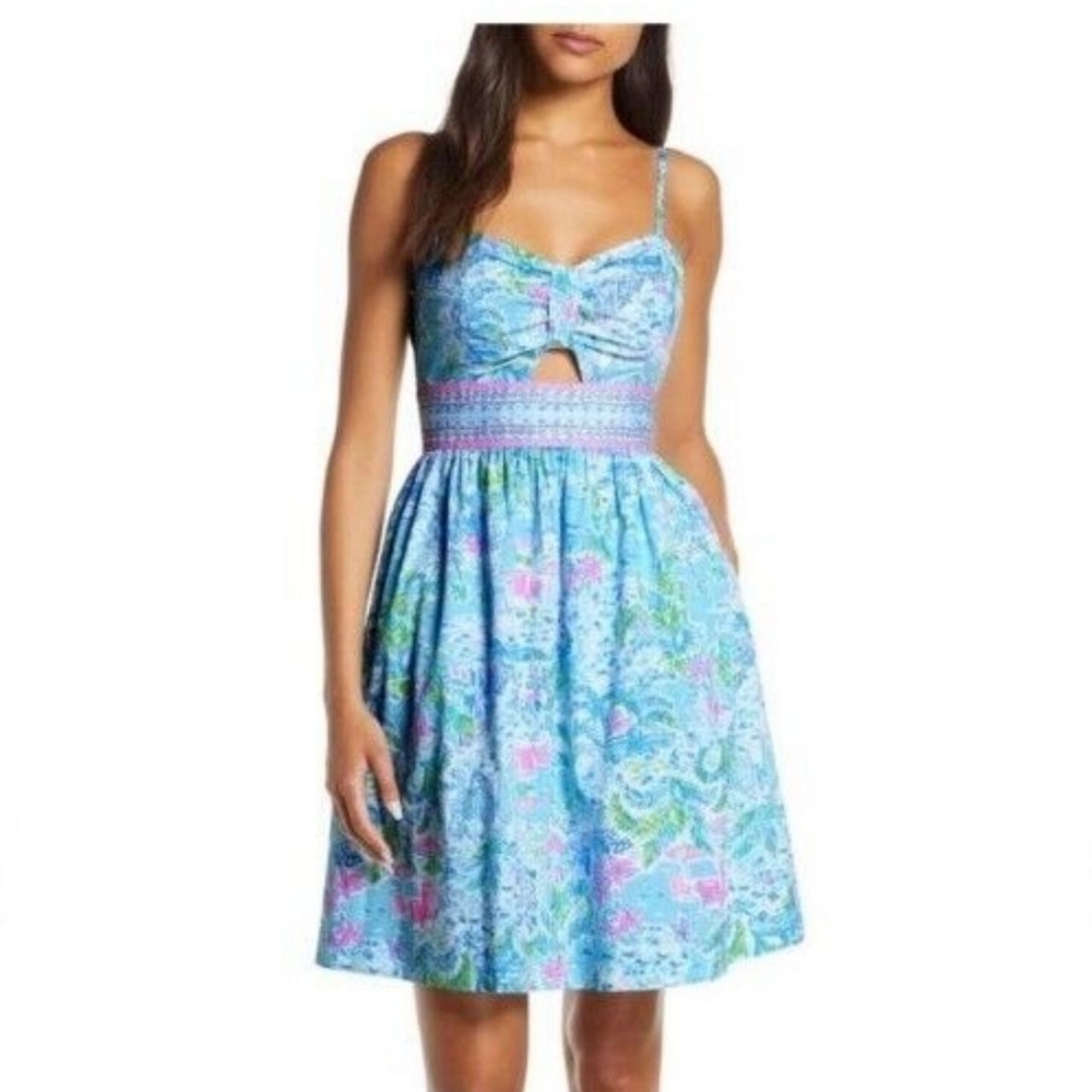 Lilly Pulitzer Kaitlyn Dress Spaghetti Strap  Sz 8 What A Lovely Place